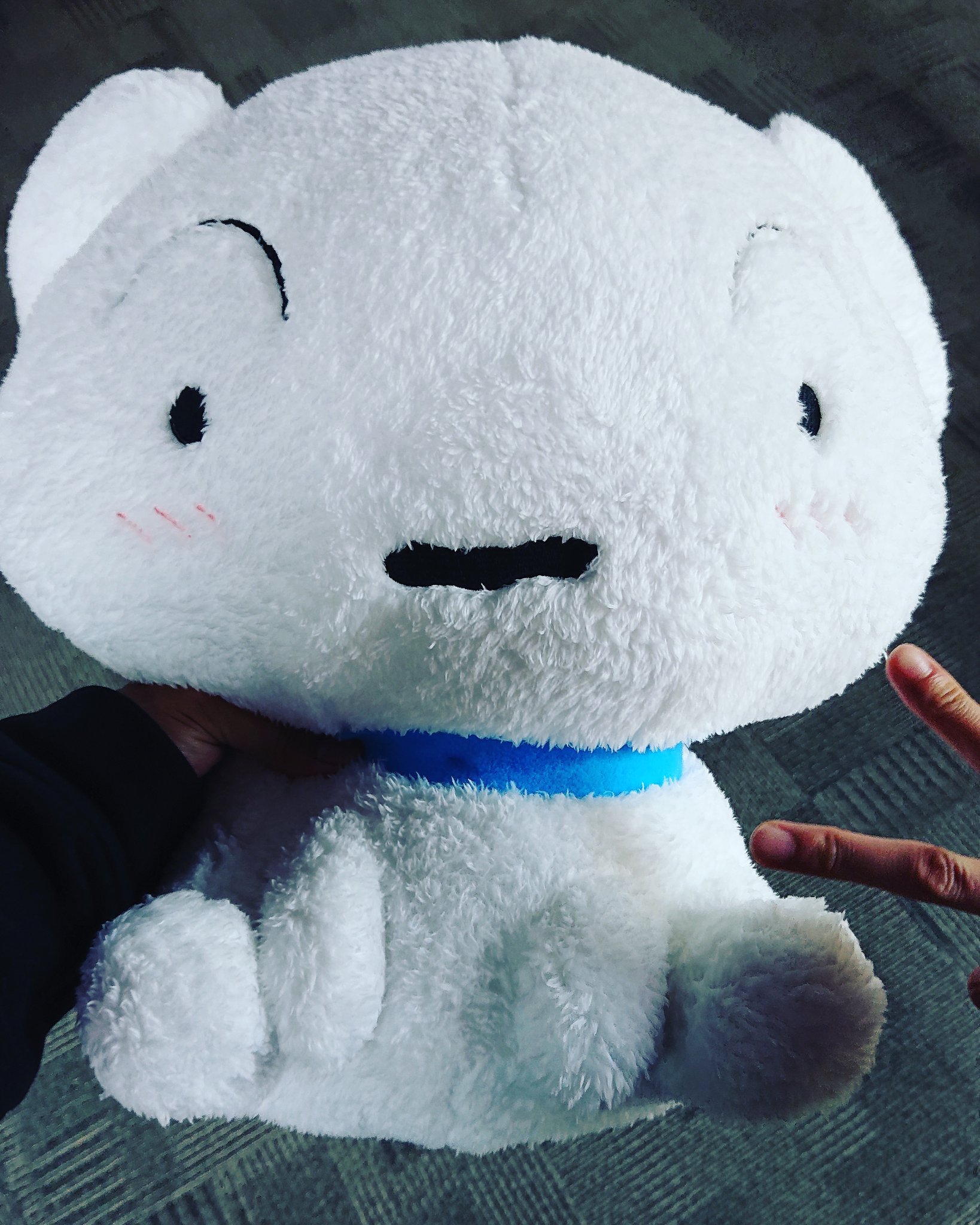 星野 裕介 一発で取れたぜ Ufoキャッチャー 100円で取れた 一発get クレヨンしんちゃんシロ ぬいぐるみ T Co Xgmrnlzrqv Twitter