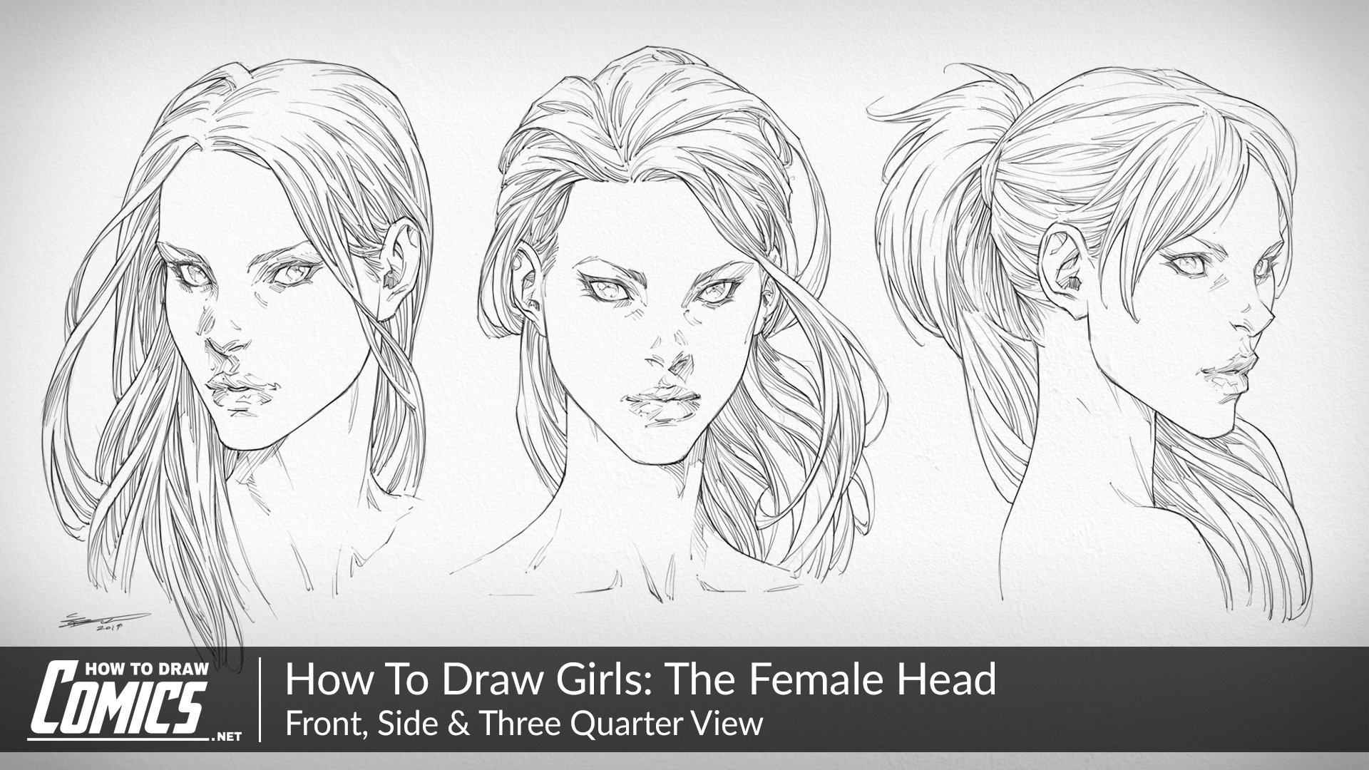 Clayton Barton - HowToDrawComics.NET on X: In this class you'll learn how  to draw the female head, face and facial features from the top down, side  view. Click the link below to