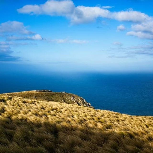 Justinflynn's tweet image. Cliff edge

#x100f bit.ly/2GQaFsw