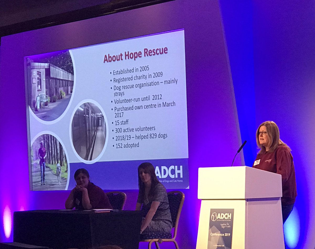HopeRescue's tweet photo. We’ve just delivered a session with @CatsProtection on Finding and Working with Good Foster Homes. #ADCHAC #volunteering https://t.co/m4iwiwyYoI