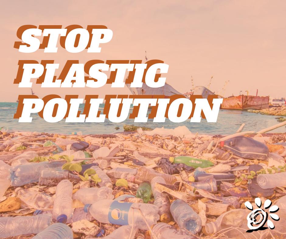 FloranaFarms's tweet photo. Join Florana in a new initiative we'll be telling you soon.
Stay tuned!

#savetheplanet #stopplasticpollution #plasticfree https://t.co/Ljkq7am1Gd