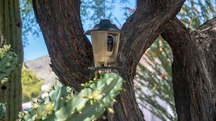 ReolinkTech's tweet image. Even stealthier! With the #ReolinkArgus2 mounted in the secret feeder enclosure, you nearly have to be directly in front of it to spot the camera. Read more here: buff.ly/2ILNpiJ