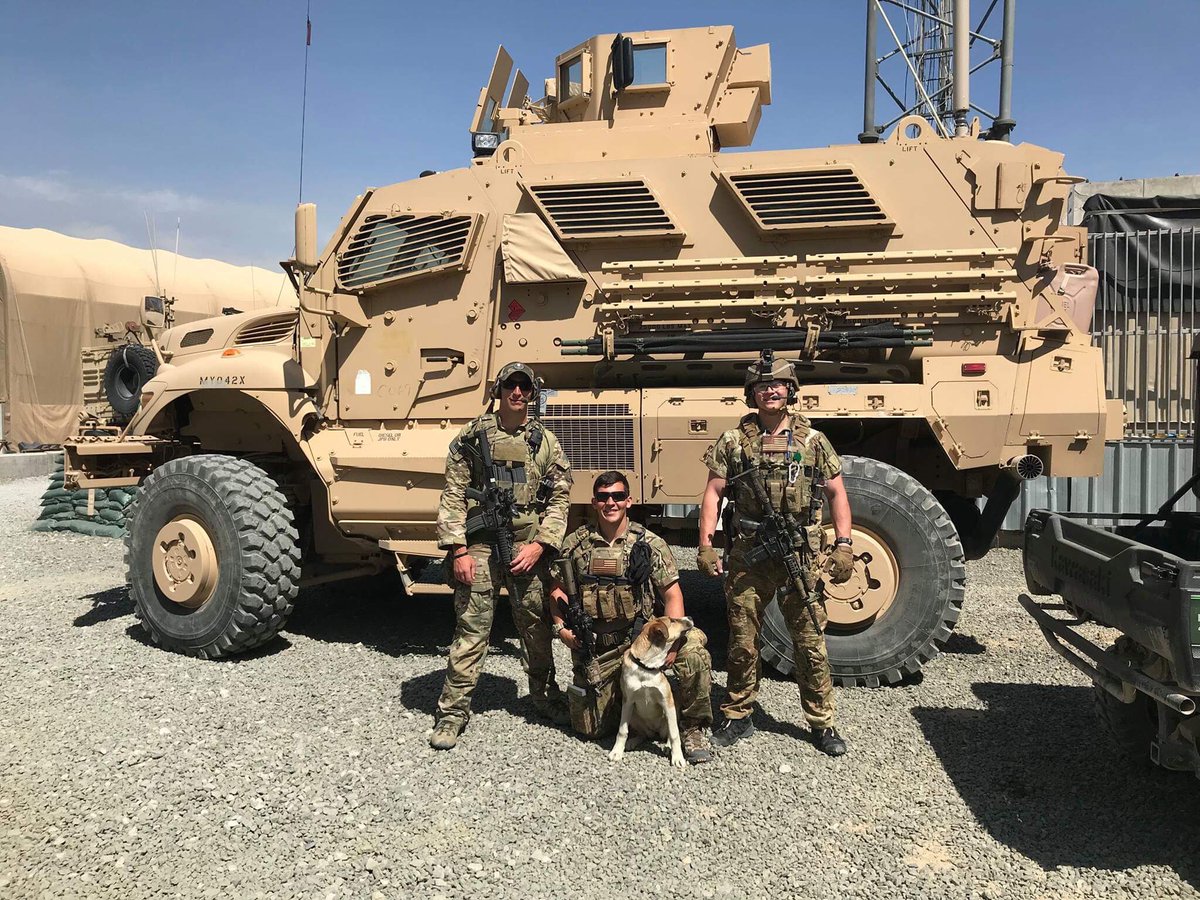 AlexaLiacko's tweet image. HELP BRING MOCHA HOME! These soldiers are deployed in Afghanistan, but they call GA home. The dog in the photo is a stray that visits their base all the time &amp;amp; they named her Mocha. One day they say they saw people hitting her with sticks, so they started raising $ to rescue her.