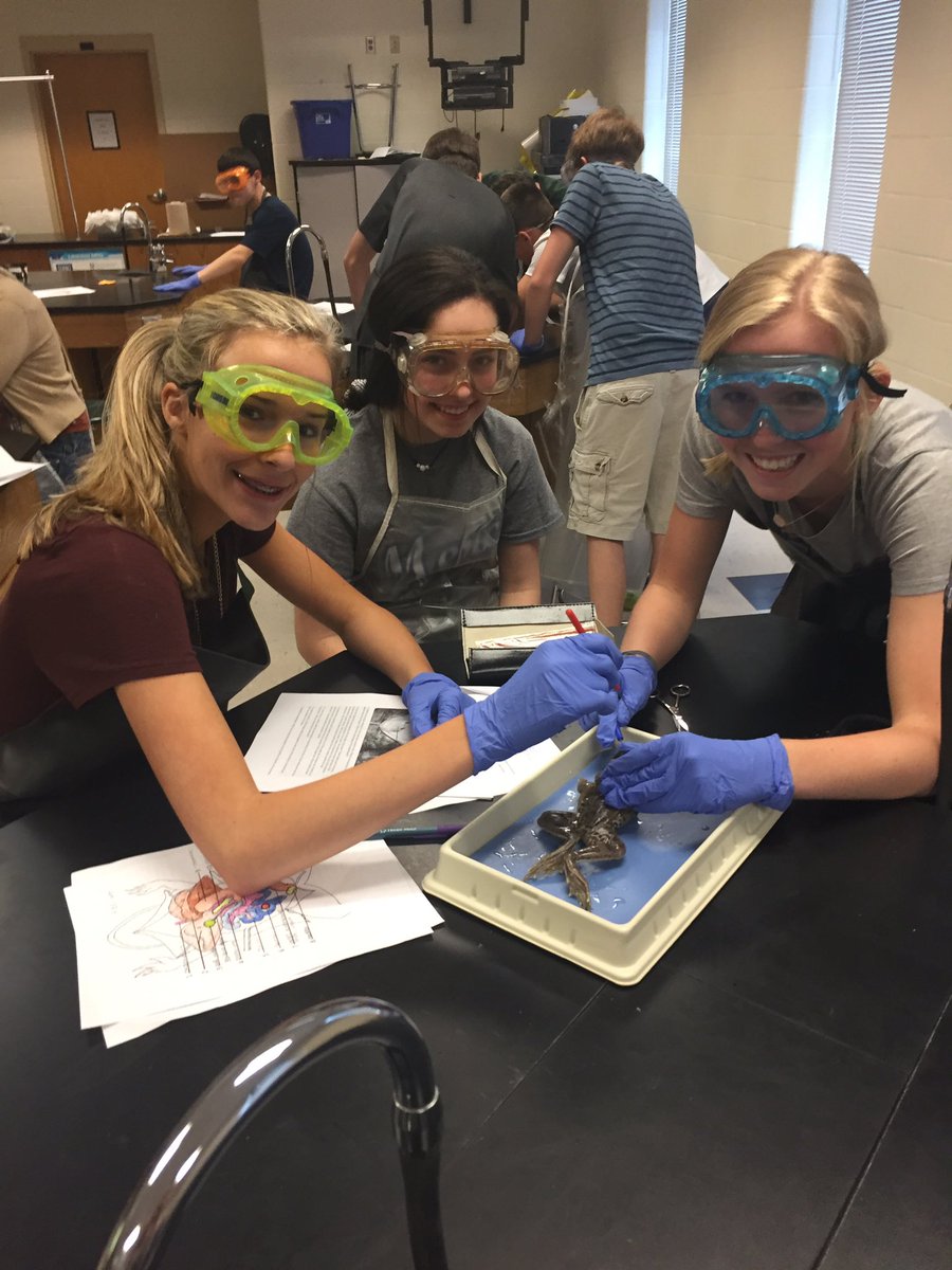 GunterGMS tweet media