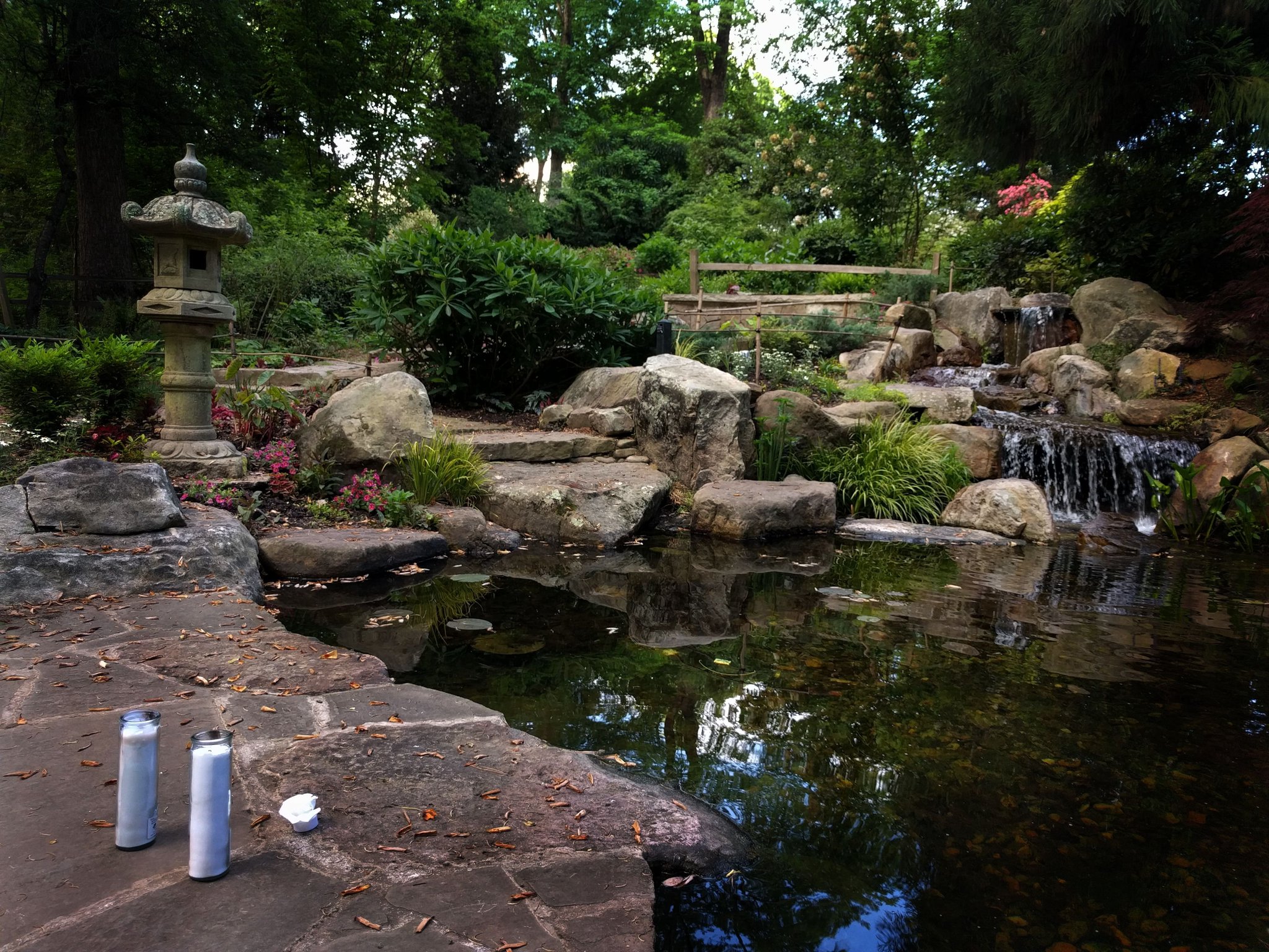 Unc Charlotte Botanical Gardens On Twitter The Gardens Will
