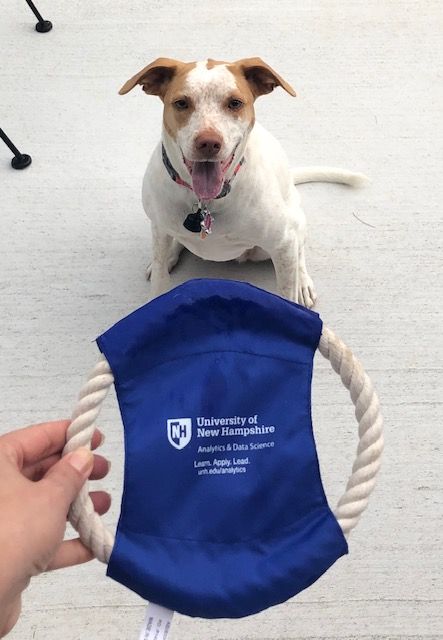 UNHAnalytics's tweet image. #UNHAnalytics has #datadog friends all over! Murray and Hank&apos;s dad brought them souvenirs from the SAS Global Forum in Dallas, Texas this week! Glad to see some happy pups, thanks to their owner Craig for sharing with us! #UNHpups #BigData #ThisIsUNH #DataScience #SAS #SASGF