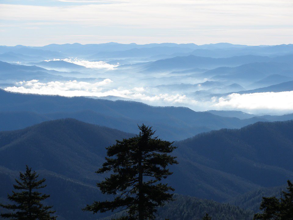 GreatSmokyNPS's tweet photo. Happy #AirQuality Awareness Week! Here in the Smokies we love clean air every day. We are excited to share that our air is the best it has been in the past 25 years. Breathe it in... and learn more about the new research at https://t.co/suYC1WbIWY #AQAW https://t.co/7HbHA9pgRj