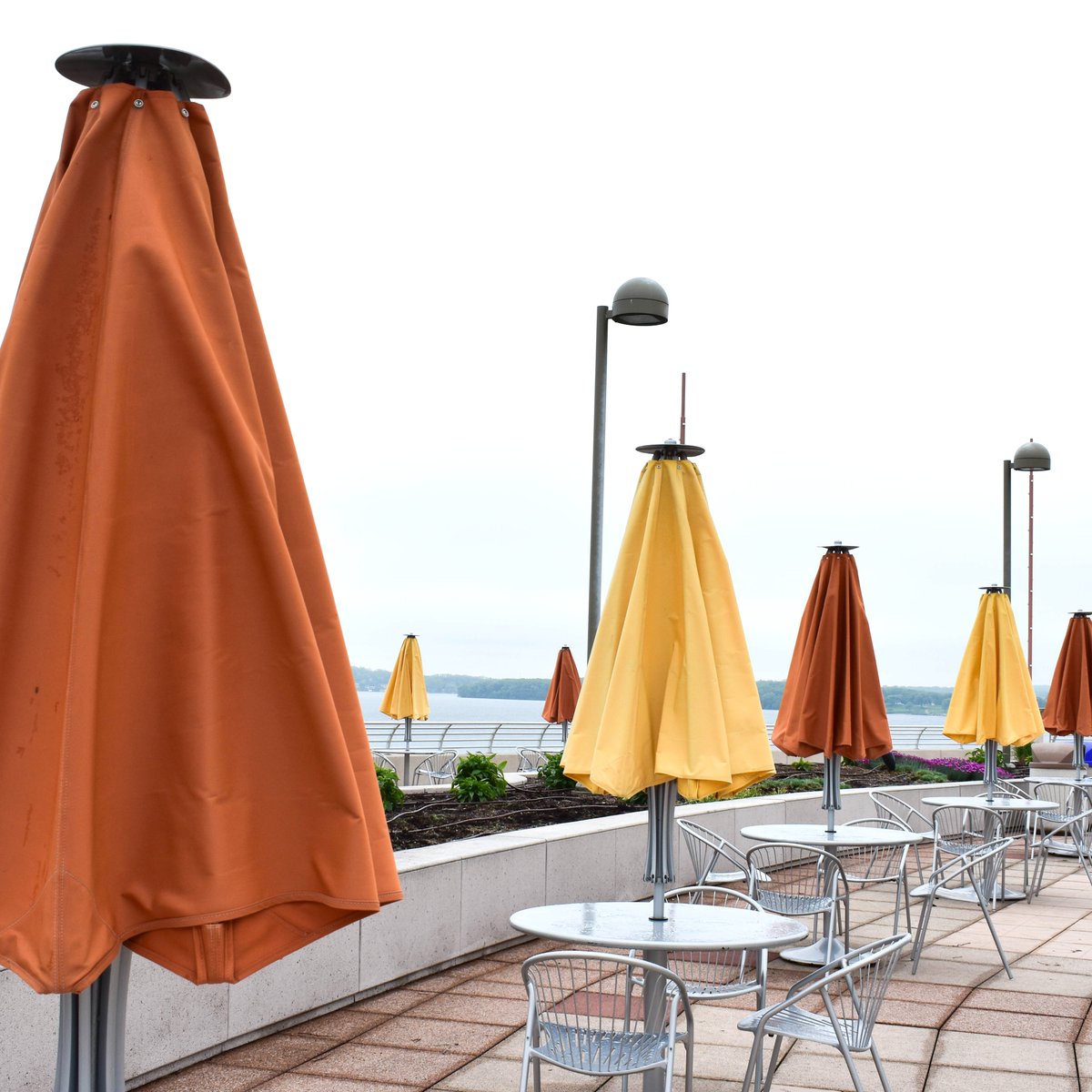 CityofMadison's tweet photo. Ready to Unfold #LivingLarger
Anyone else missing rooftop season at @MononaTerrace?
.
.
.
#CityOfMadison #MononaTerrace #DowntownMadison #MadisonLakes #LakeViews #RooftopSeason #RooftopSZN #SummerVibes https://t.co/M5SsvTjCYW
