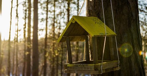 BatiConseil's tweet photo. Arbres, construction et fissures : 5 points essentiels à connaître
https://t.co/R8pqHoQTn9
#maison #construction #fissures #arbres https://t.co/GIaPNePjWW