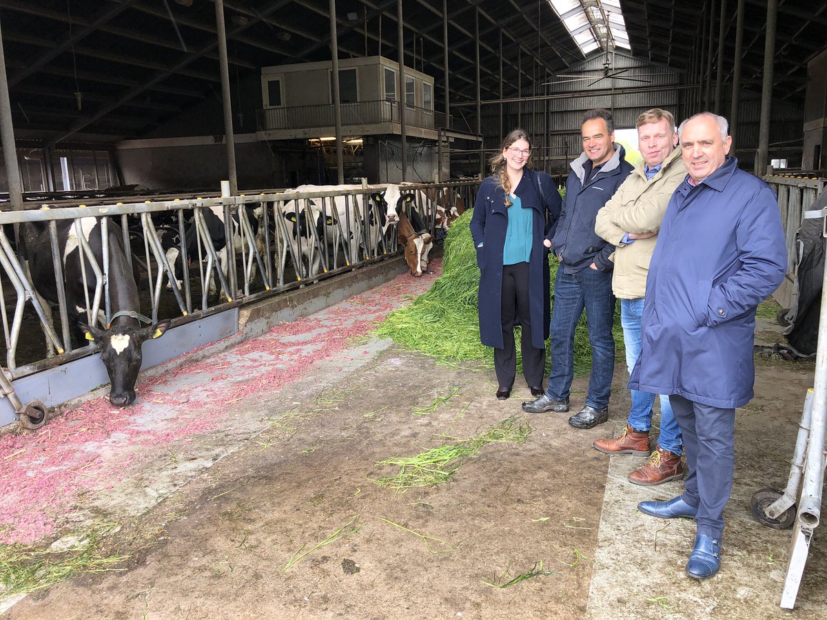 Een blik in de grote stal van melkveehouderij @josverdam in Renswoude, met duurzaam voedsel voor de koeien en veel kringloop landbouw, samen met <a href="/christenunie/">ChristenUnie</a> raadslid <a href="/janpronk/">janpronk</a>, <a href="/Eurofractie/">ChristenUnie Europa</a> , <a href="/JohannaKramerEP/">Johanna Koffeman-Kramer</a> en @petervdalen