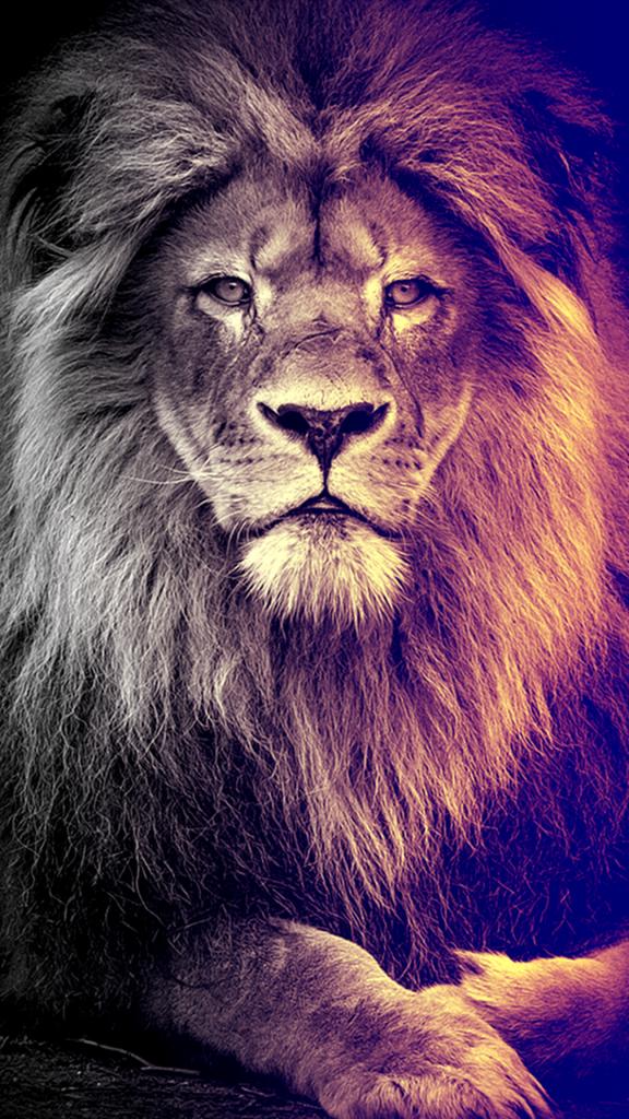 verse 1 ey, arma uğrunda adanan hayatlar. Galatasaray Aslan : Galatasaraywallpaper Twitterren Galatasaray Aslan