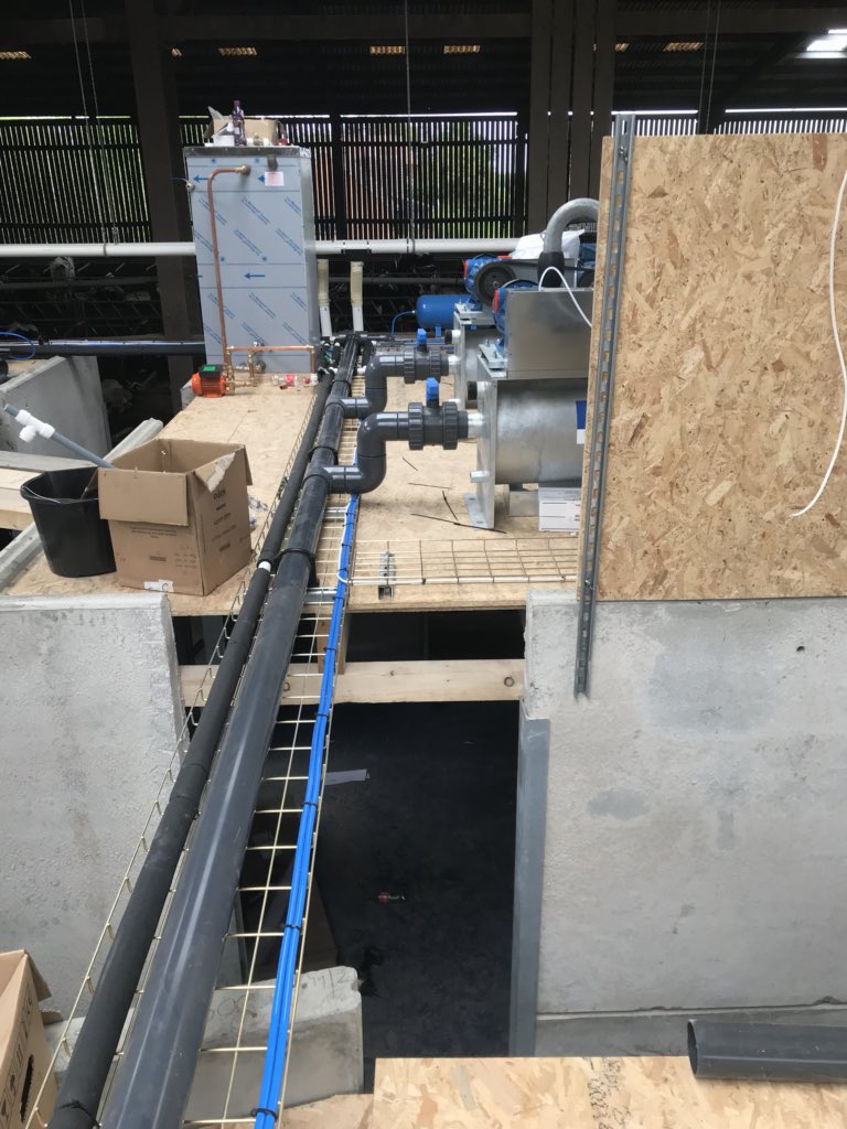 jamesholdingeng's tweet image. It’s definitely coming along nicely good work lads, looking forward to the near future 🤗 More and more Robots getting ready to be installed #M2erlin #FarmLife #ThursdayThoughts