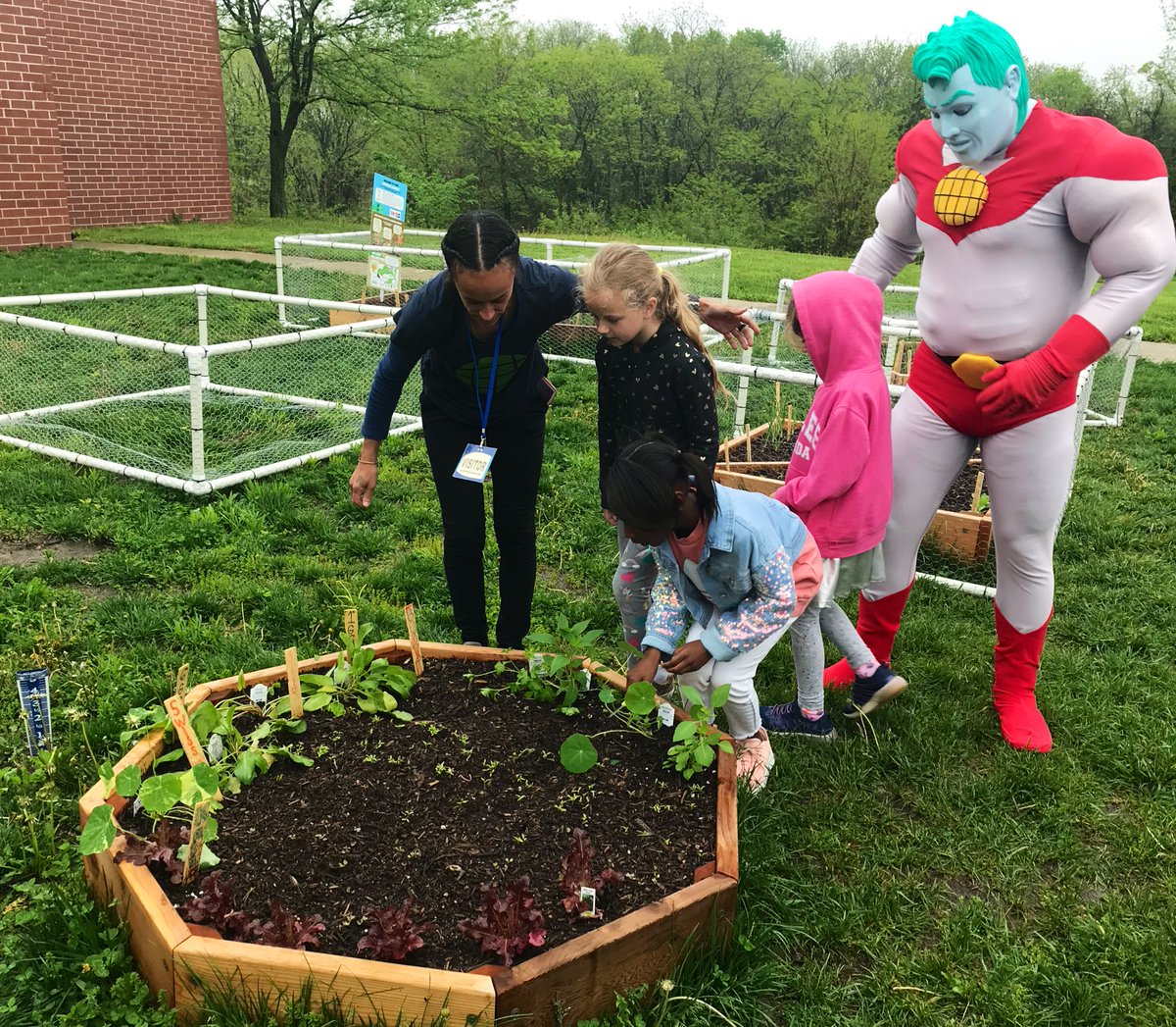 LSR7's tweet photo. Captain Planet joining @hhehornets to harvest part of their school garden. In partnership with @DoleTweets, we are growing our own food and growing minds along the way. #ProjectLearningGarden https://t.co/wikHfiLsxn