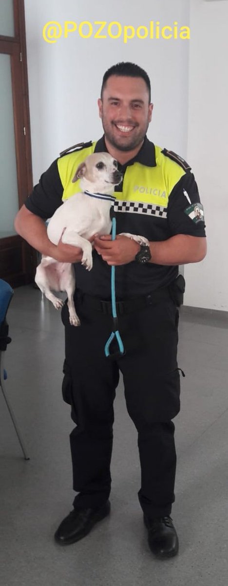▶️ <a href="/POZOpolicia/">▀▄▀▄▀▄ Policía de Pozoblanco ▄▀▄▀▄▀</a>  hace entrega de un🐕a su propietaria.

👉🏻La colaboración☎️ciudadana, las gestiones policiales, el detector de chip y la base de datos de RAIA💻,han sido claves para localizar a su dueña residente en una localidad vecina de #pozoblanco