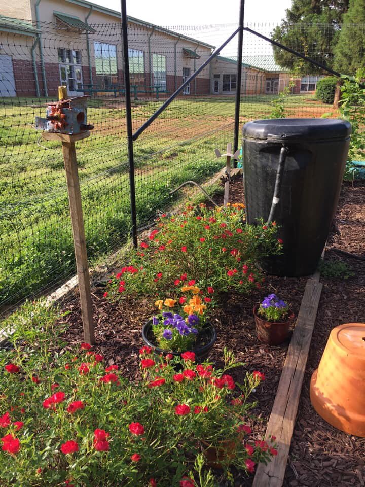 Look what’s new in our school Garden!! <a href="/CFletcherMiller/">Caroline Miller</a> <a href="/MiddleCreekES/">Middle Creek ES</a> #schoolgardens