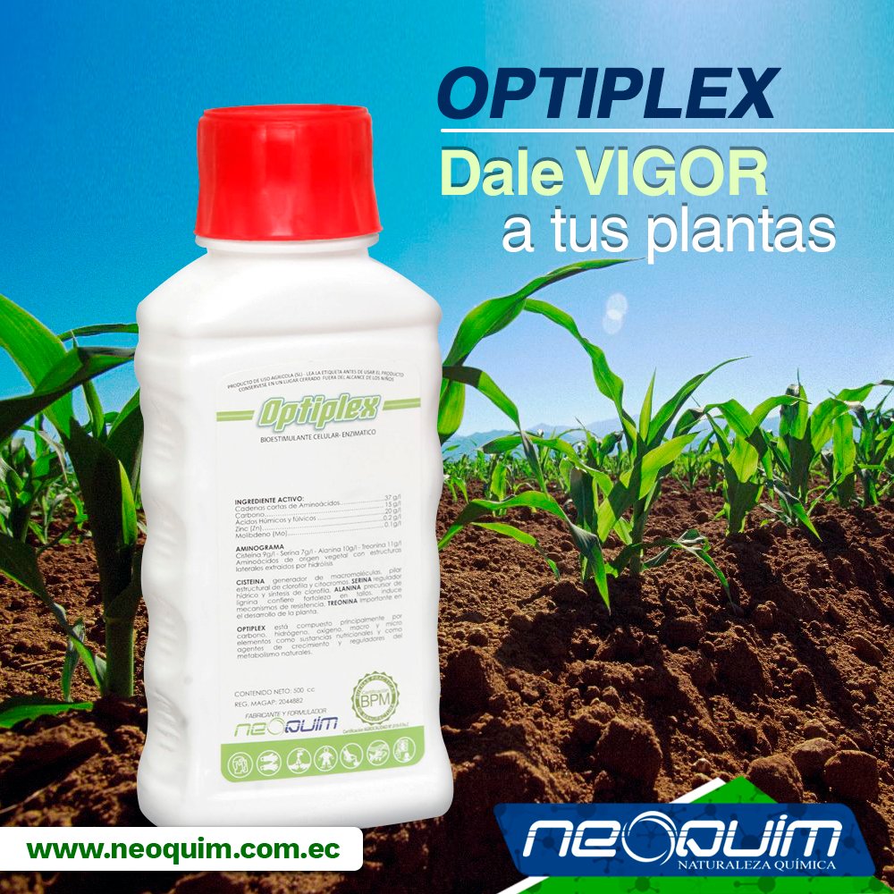 neoquim_ec's tweet photo. Mantén la tasa de crecimiento y producción de tus cultivos, aún en condiciones ambientales adversas con Optiplex. #Neoquim https://t.co/OvcShBuy2t