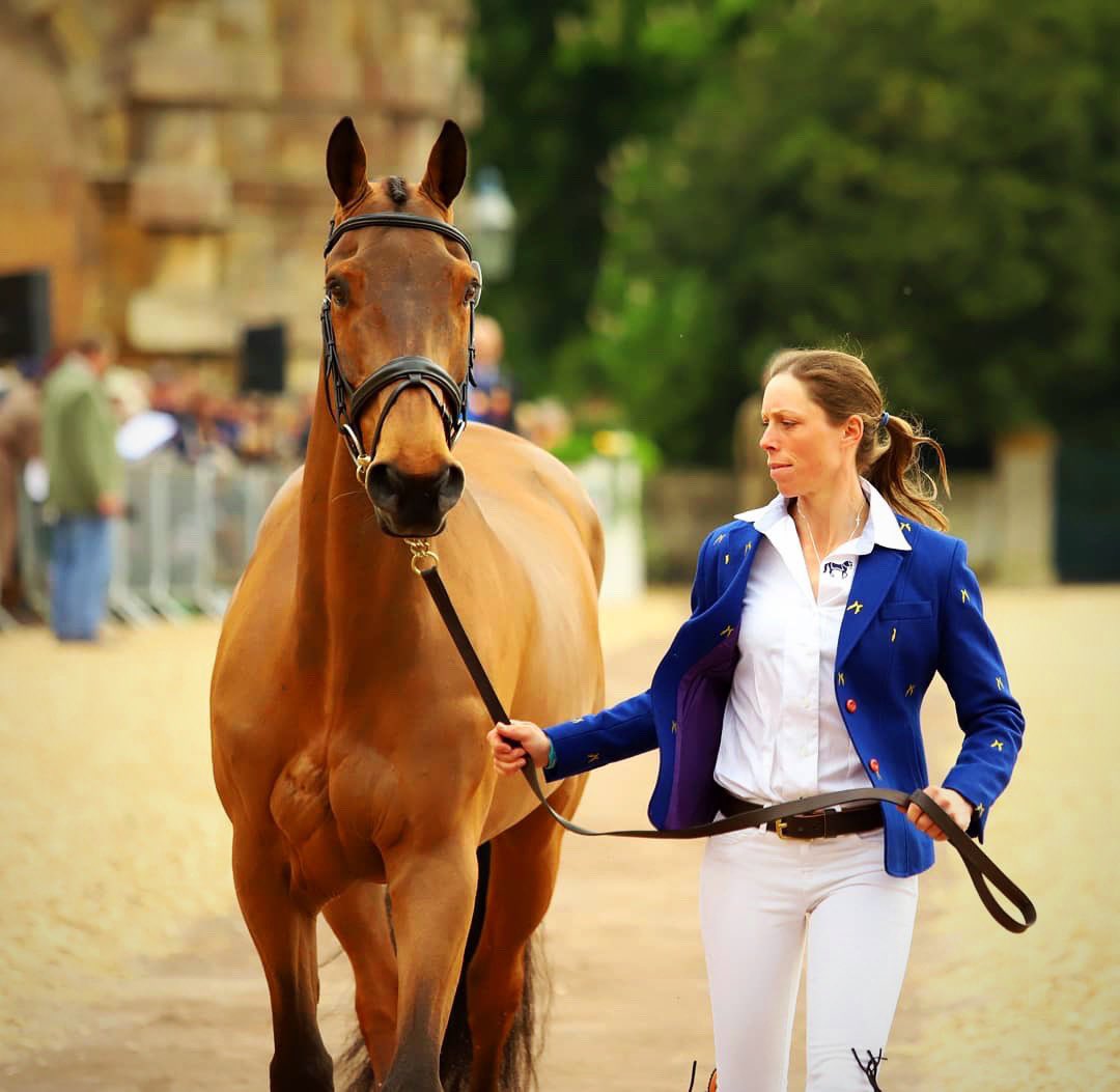 <a href="/EmilyPhilp1/">Emily Philp</a> crushing the trot up in her Deep Blue Beauchamp Blazer 🇬🇧 Best of luck to her and Camembert at <a href="/bhorsetrials/">Badminton Horse Trials</a> 🐎 🏆 sportinghares.com ( 📸 <a href="/glazeandgordon/">Glaze & Gordon 🇬🇧</a> <a href="/eventslens/">Events Through aLens</a> )