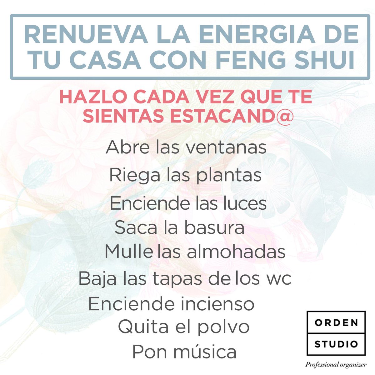 Orden Studio tweet media