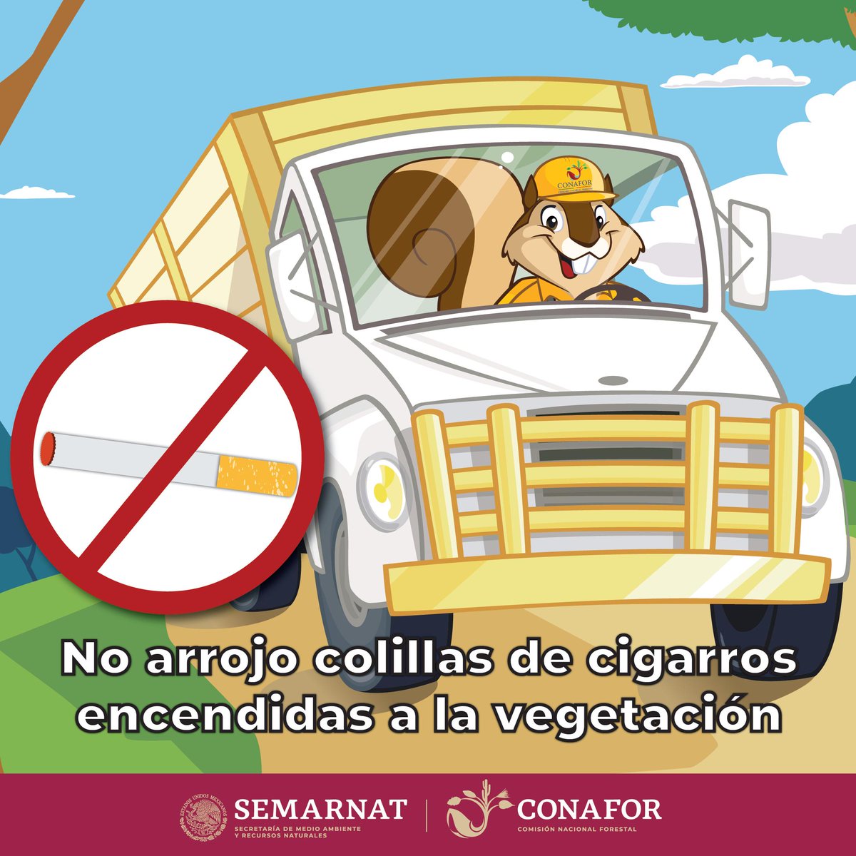 CONAFOR's tweet photo. Fumar 🚬no solo daña tu salud ⚕️👩‍⚕️. En 2018 las colillas mal apagadas provocaron 420 #IncendiosForestales, afectando 18, 041 hectáreas, esto representó el 6% de las causas 🚬🔥🌲 Si vas en carretera o te adentras en una zona forestal ¡Asegúrate de apagarlo! 🚭 https://t.co/UHjYHmh4k0