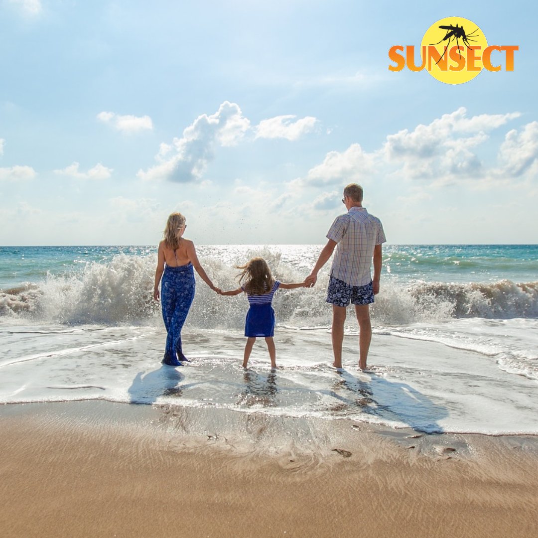 Sunsect15's tweet image. Time is free, but it’s priceless. — Harvey MacKay
Shop Now.  Insect Repellent + Sunscreen!  …-f04da2075117.onlinestore.godaddy.com/t/sunsect