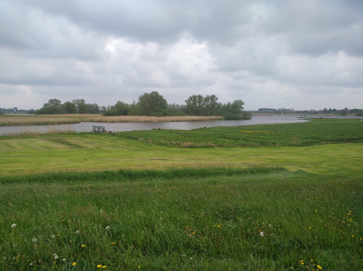 hetkampenvan's tweet photo. #Scherenwelle @Wilsuminfo #Strangen, #zijtakken #Gelderseijssel @RvdRIJsseldelta @IJsseldelta @ijsseldeltaB2B @staatsbosbeheer #visitkampen 2/3 https://t.co/Ml26CoTWx8