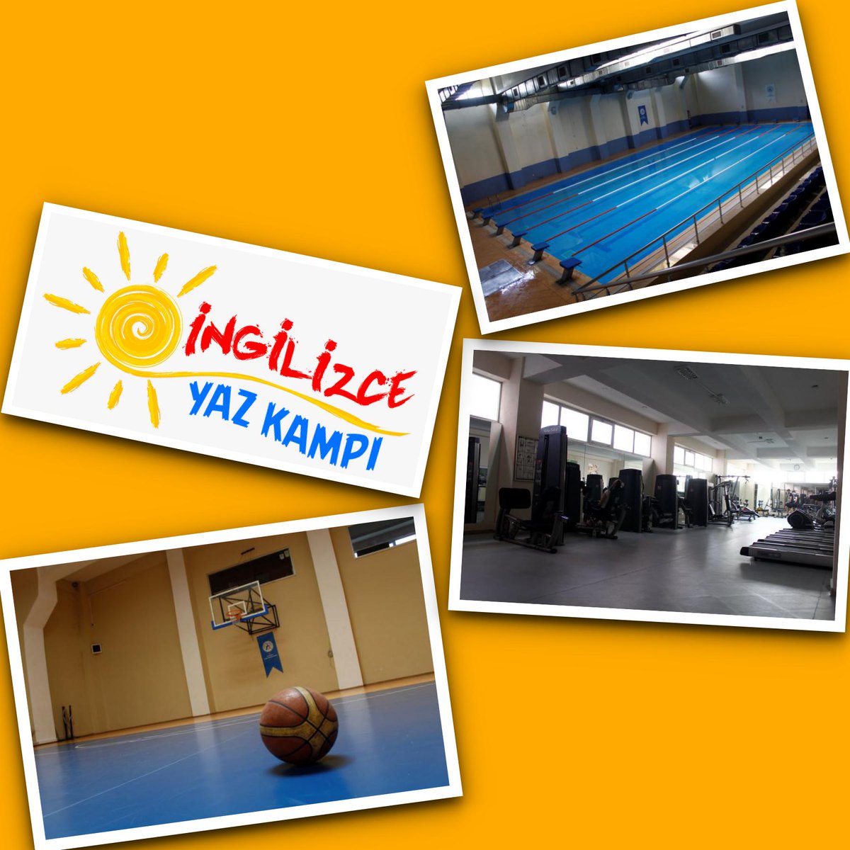 Programımız dahilinde Arel Üniversitesi'nin bütün sportif imkanlarından faydalanabileceksiniz🌞☀️🏀🏐🏊‍♂️

ingilizceyazkampi.org

#eğitim #ingilizce #yazkampi #istanbul