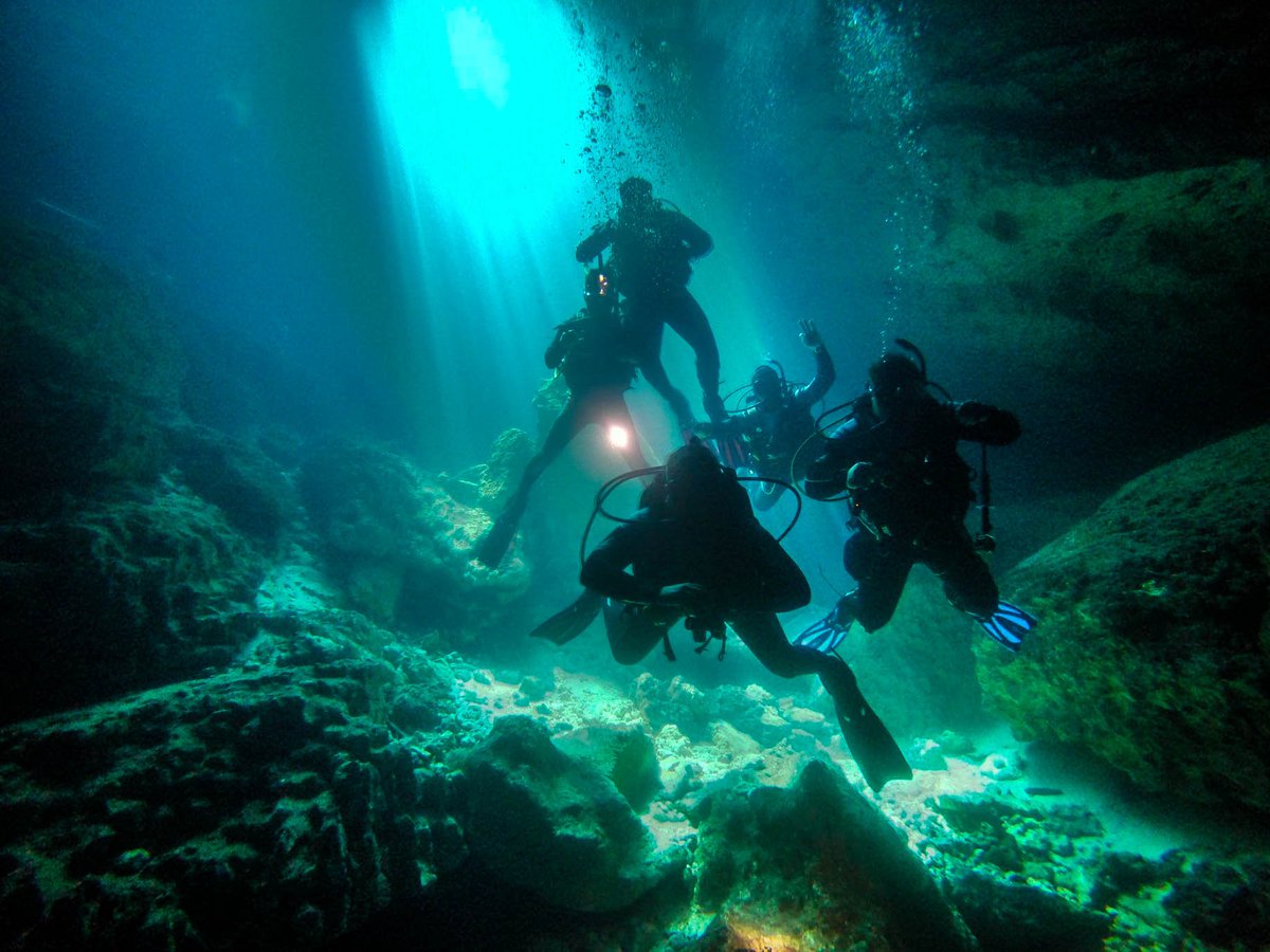 thedivestation's tweet photo. Explore the Florida springs with us.
Become a PADI Open Water diver to enjoy an amazing summer of diving. 
Already an explorer? Improve your skills in our Advanced Open Water and Specialty Diver courses.
Call (407) 401-4375 or email divestationorlando@gmail.com for more info https://t.co/gdzq1jhEfi