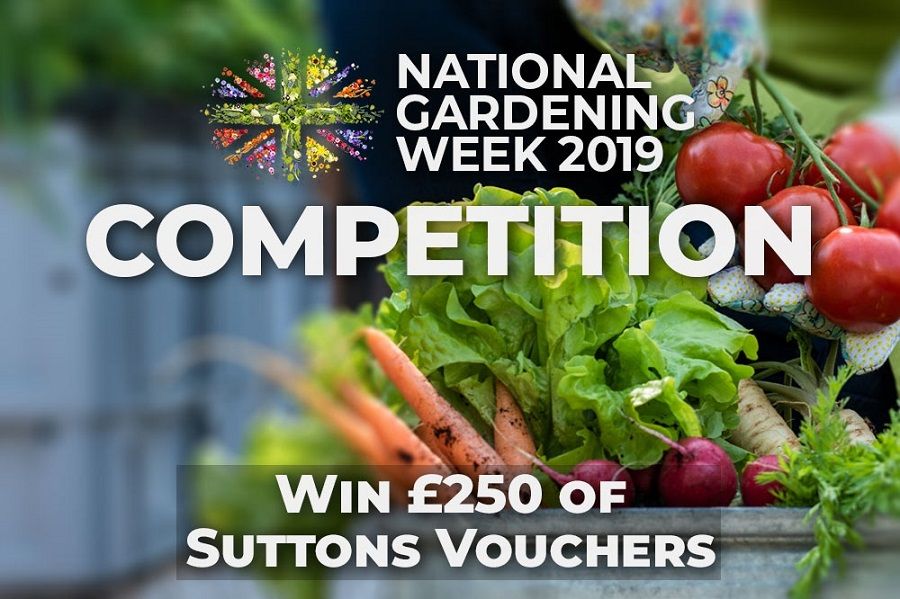suttons_seeds's tweet photo. Comment and tell us how you would use a £250 gift voucher to transform your outside space and we'll choose our favourite. Competition closes at midnight on Tuesday https://t.co/mcXRWVgCep #nationalgardeningweek https://t.co/14V2scmryg