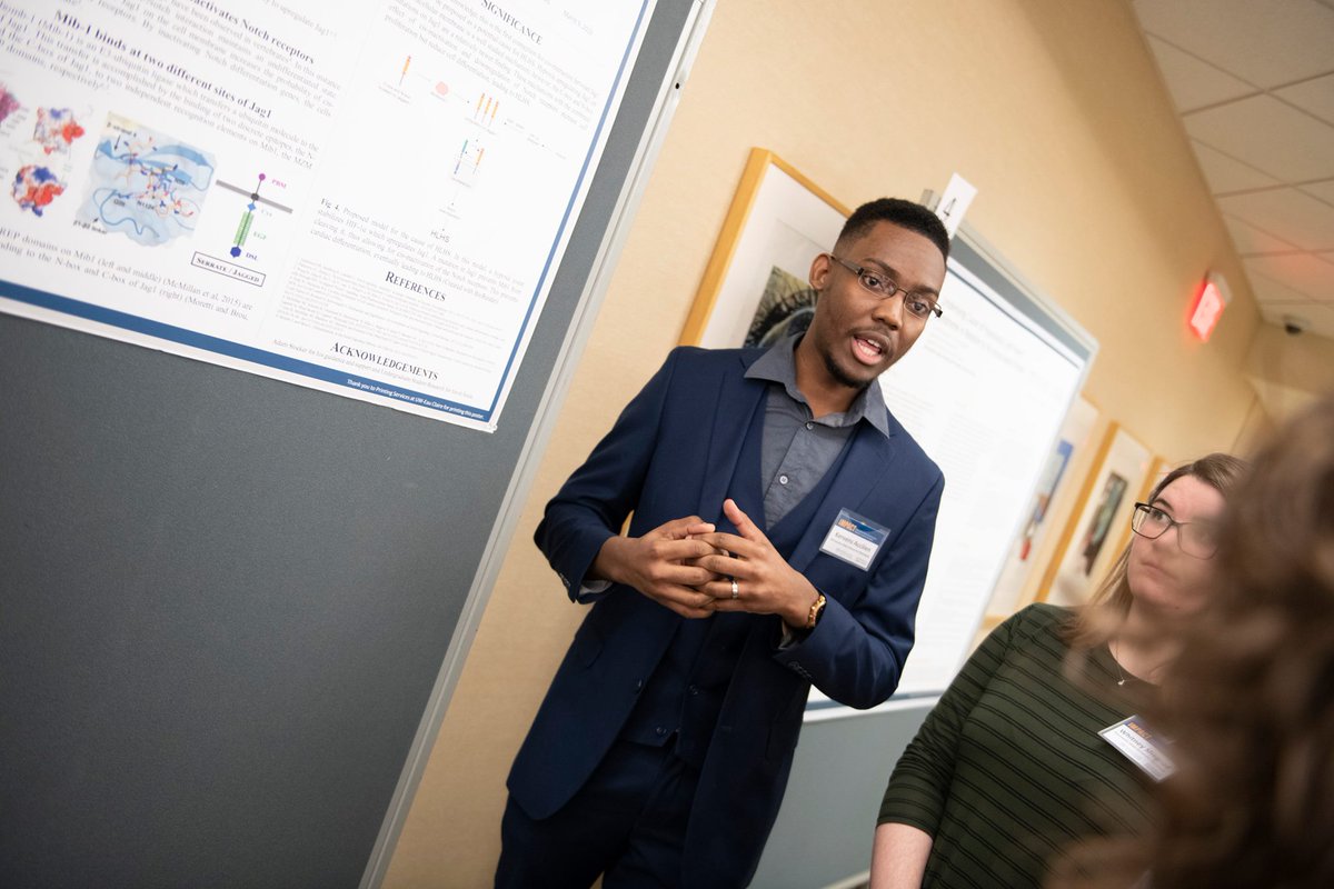 MSUMoorhead's tweet photo. A team of four MSUM undergraduate students was awarded first place in @MayoClinic's annual IMPACT competition. Each student received a $1,000 prize and was offered a paid research internship opportunity at the Mayo Clinic this summer. #DragonPride https://t.co/BbMtkJTBVY https://t.co/U1B1FpqxBB