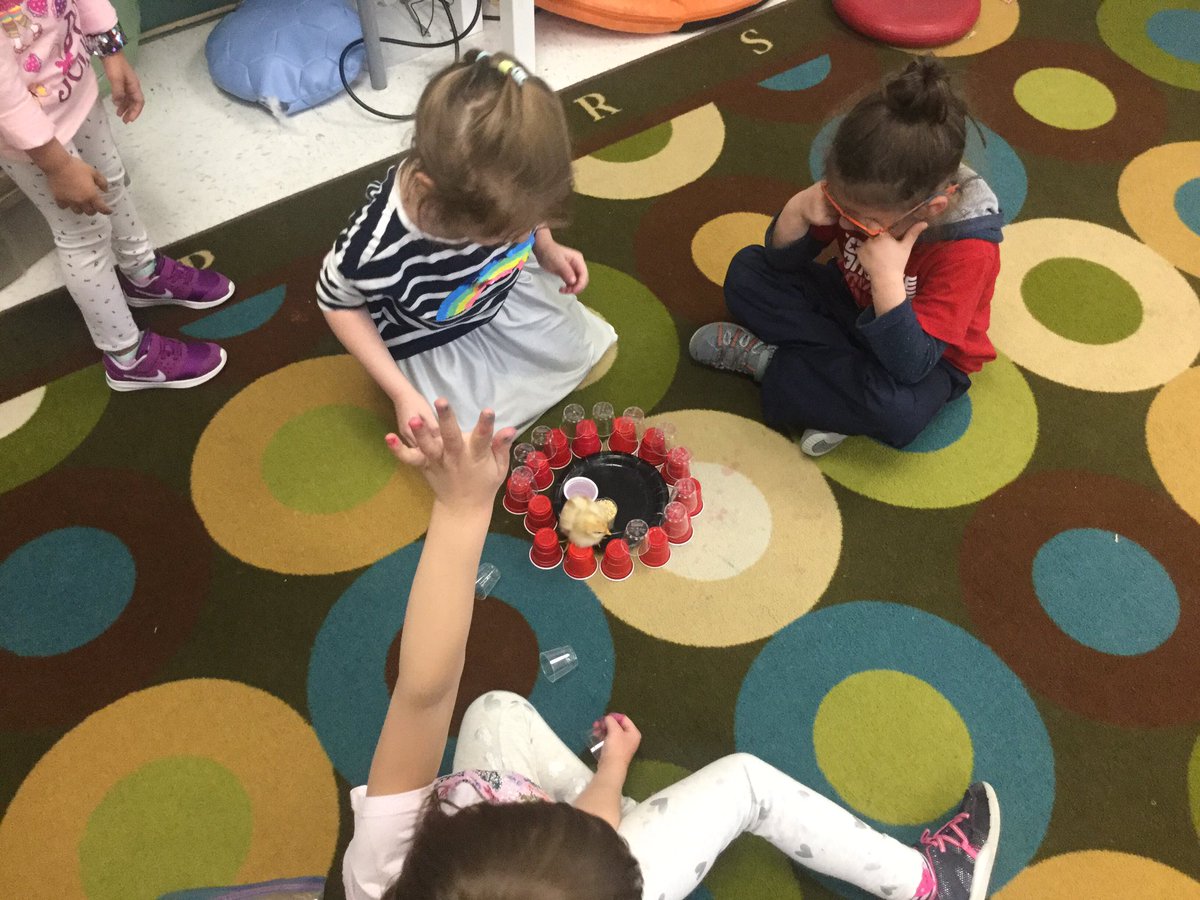 MrsShannon7's tweet photo. What makes a good house for a chick?  These students in @KindertownJS3 are figuring it out with this STEM challenge. @StLukeNepean https://t.co/13QT2TcsUD