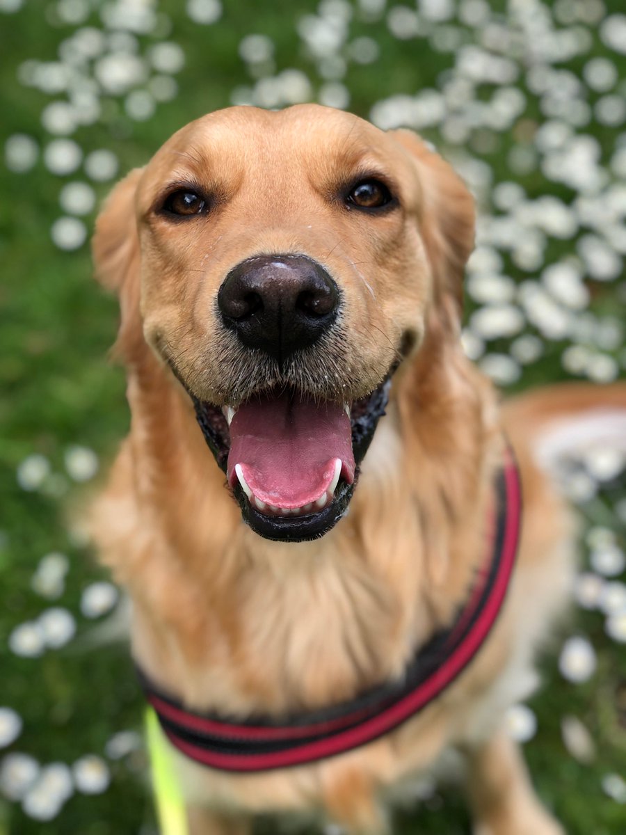 DougieStew's tweet photo. This photographer took a picture before and after telling her she was a good girl. https://t.co/ndNogqAa5I