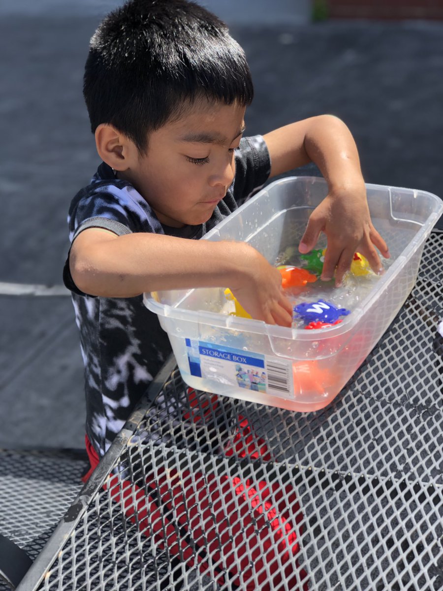 RCPS_EarlyLearn's tweet image. Preschool is using the Letter Link Crabs during Small group waterplay.
#uppercaseletters #lowercaseletters #coloridentification #sorting