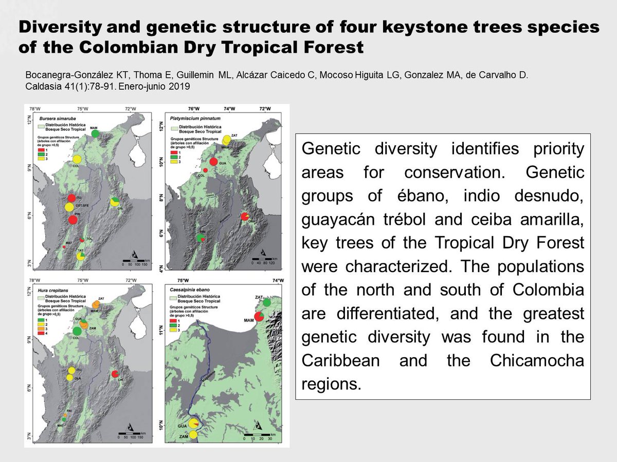 CaldasiaICN_UN's tweet image. Caldasia journal of the Instituto deCiencias Naturales @ICN_UNAL, shares its most recent publication on genetic diversity in Dry Tropical Forest plants. Download it in:dx.doi.org/10.15446/calda…

#DryTropicalForest #Diversity #GeneticStructure #Caldasia #ICN_UN