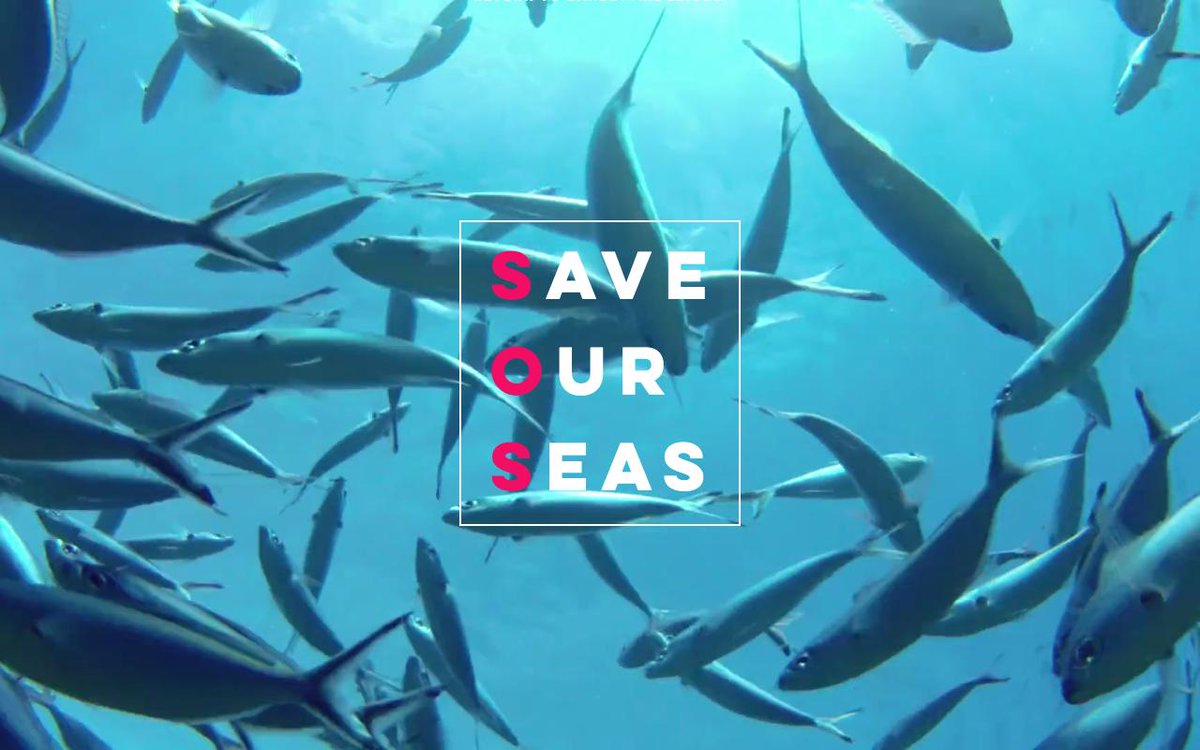 Dan Bettridge (@danbettridge) on Twitter photo I'm so excited to be sharing S.O.S with you! Save Our Seas is a community and tool. It's for you to use. To share info & tips, to engage and educate. Thank you to <a href="/PlasticWaive/">Beach Guardian</a> for your knowledge and input 💚🌍🌊 bit.ly/2UWhXQm I'm so excited to be sharing S.O.S with you! Save Our Seas is a community and tool. It's for you to use. To share info & tips, to engage and educate. Thank you to <a href="/PlasticWaive/">Beach Guardian</a> for your knowledge and input 💚🌍🌊 bit.ly/2UWhXQm