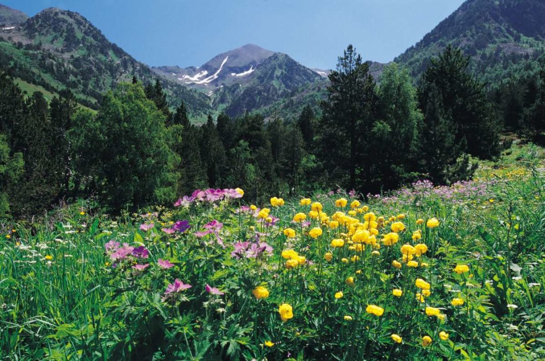 TravelMagazine's tweet photo. Do you know where #Andorra is?

The tiny principality is indisputably one of Europe’s best kept secrets, with mountains and lakes, historic buildings and museums, and quaint villages.

Read more ➡️ https://t.co/Tf2wurckDV https://t.co/CXAA7tex0D