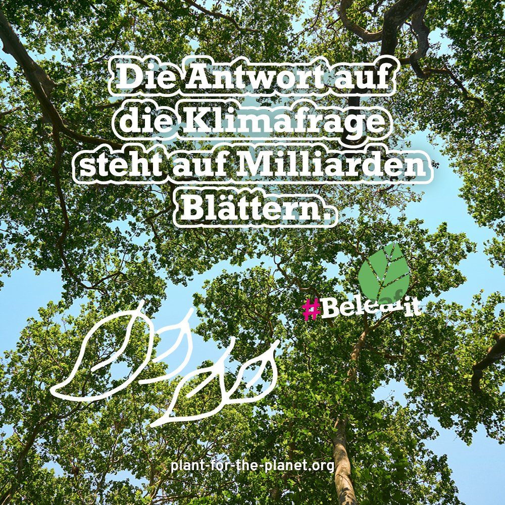 1.000 Milliarden Bäume für unsere Zukunft 🌲🌲🌲 - eine alte Idee! 🧐 Richard St. Barbe Baker setzte sich schon in den 1920ern für Aufforstung ein. Wangari Maathai ist die Mutter der Bäume. Und heute? Heute werden wir zu #Beleafern! 🙏 #Beleafit! ➡️ plant-for-the-planet.org