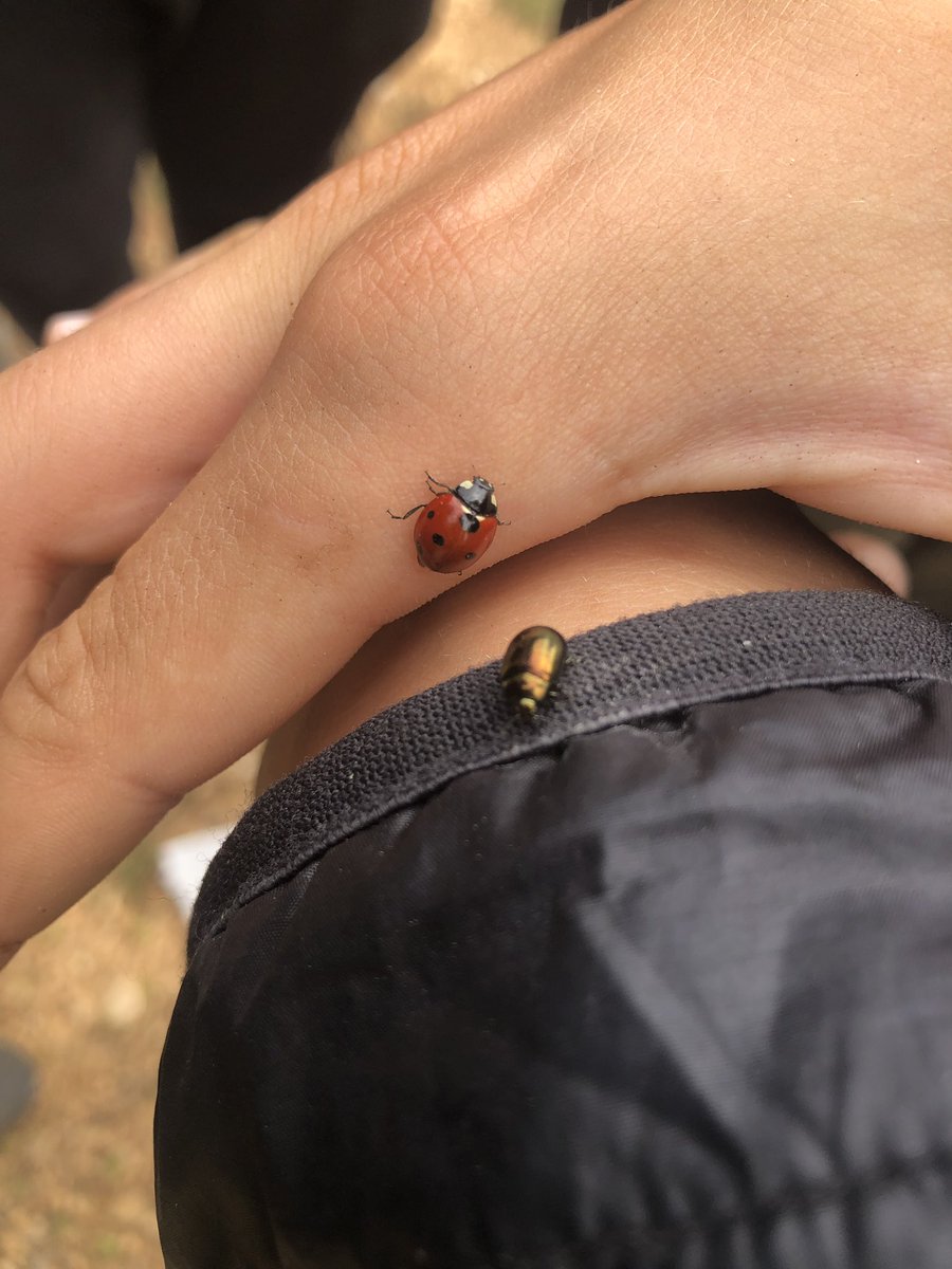 ecobalade's tweet photo. Nous découvertes #biodiversite aujourd’hui sur l #ecobalade de #simiane #Provence https://t.co/SVBAxdHWev