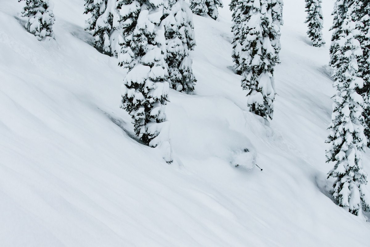 SkiFernie's tweet image. Meeemorieees...
⛷️ @DylanSiggers 
📷 @nicgenovese 
#lovefernie #ferniestoke #powderhighway