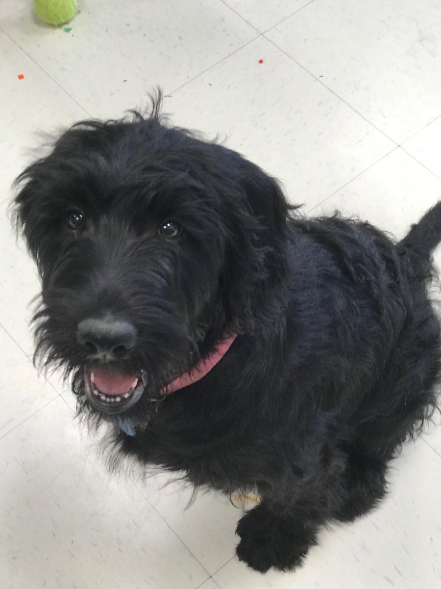 Gracie Sullivan visited our students today! ❤️⁦<a href="/daviscfb/">Dale B. Davis Elementary</a>⁩