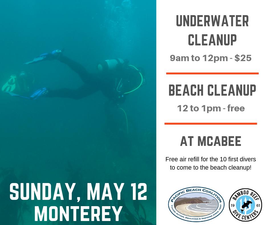 Bamboo Reef Dive Shop &amp; Pacific Beach Coalition have organized a beach clean up &amp; fun dive at McAbee Beach next Sunday. Great local volunteer opportunity!