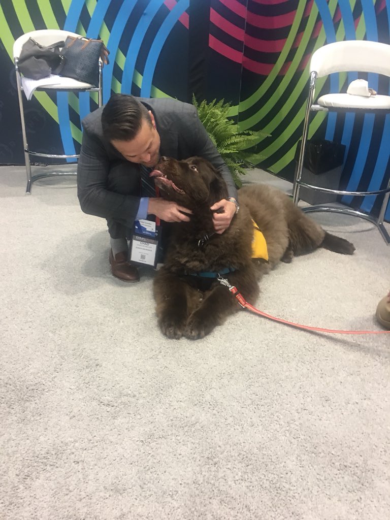 Tracy Mock tweet media