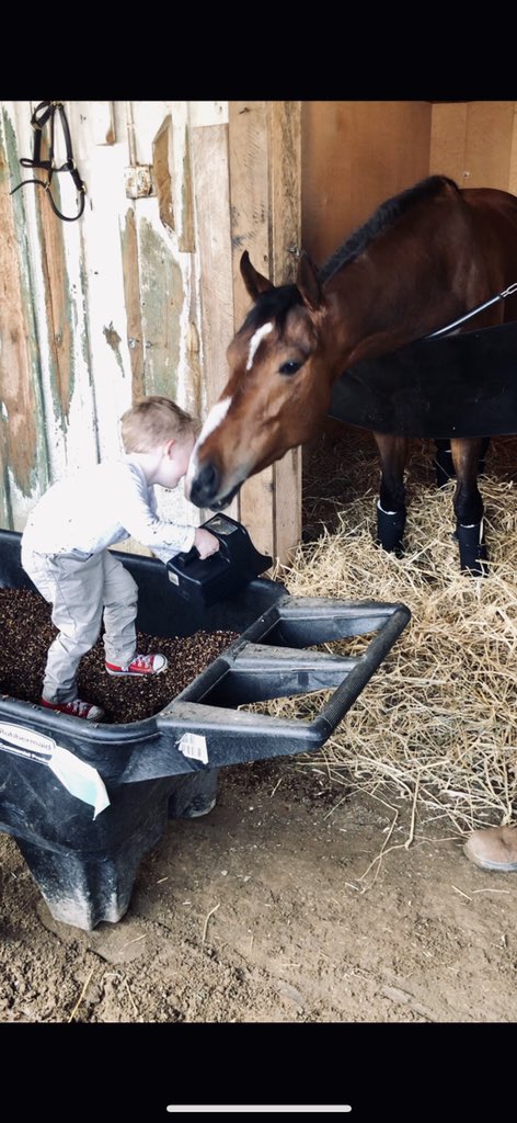 NLynchRacing54's tweet photo. Lots of love for this boy. First time out and gave us some heart. #MrsRobinE. Felt like winning a stake routing for this one. #teamwork #proudmom #troublechild. Good Job & Thank You @VargasJrJockey. https://t.co/sH2u4yS4pX