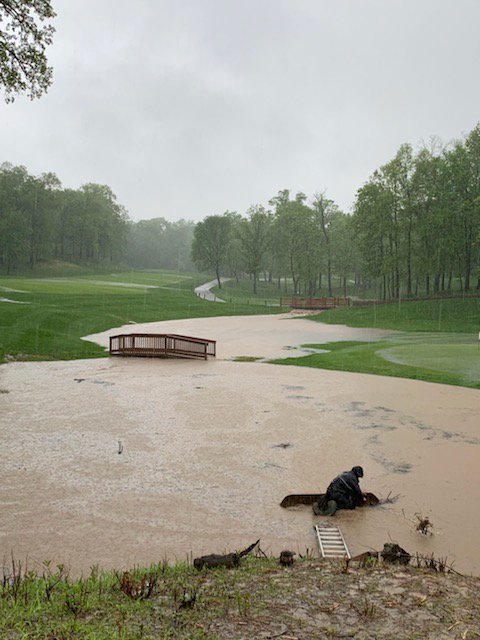 WhitmoorCCGrounds tweet media