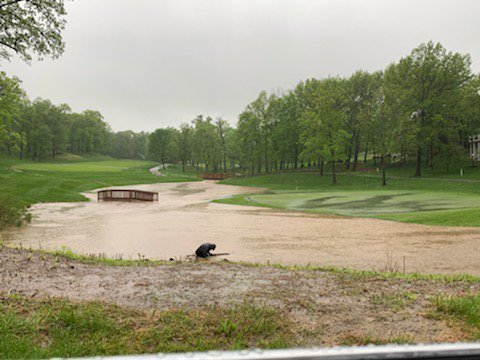 WhitmoorCCGrounds tweet media