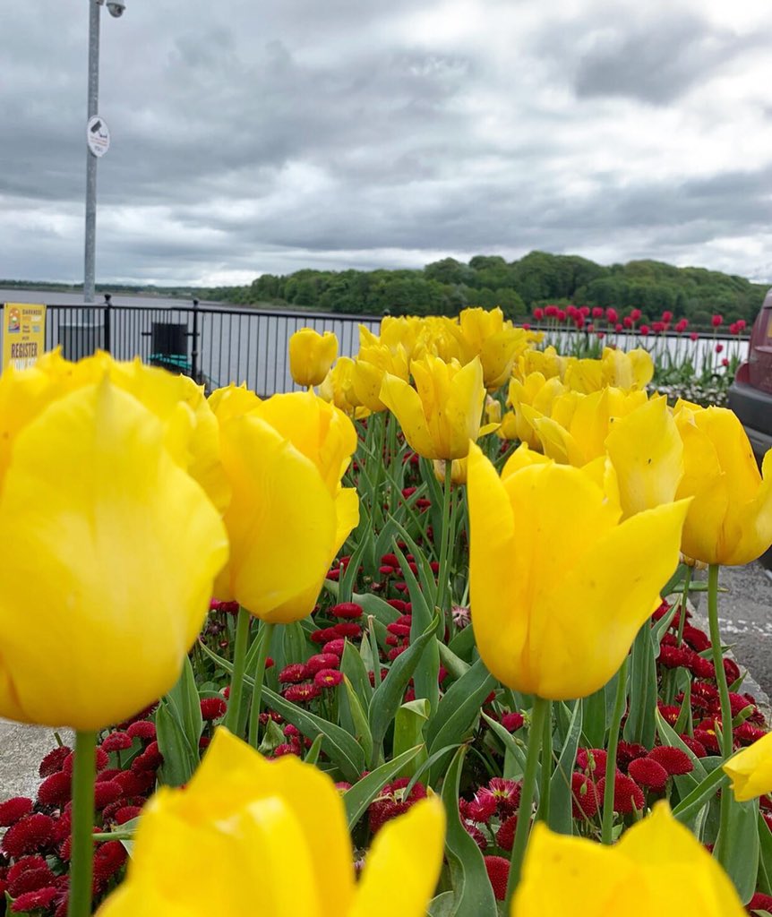 Our Future Foyle tweet media