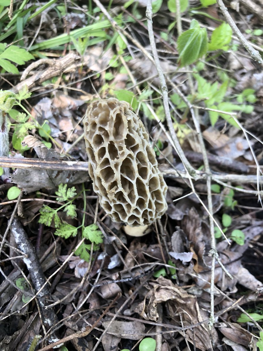 Mike Lauterbach tweet media