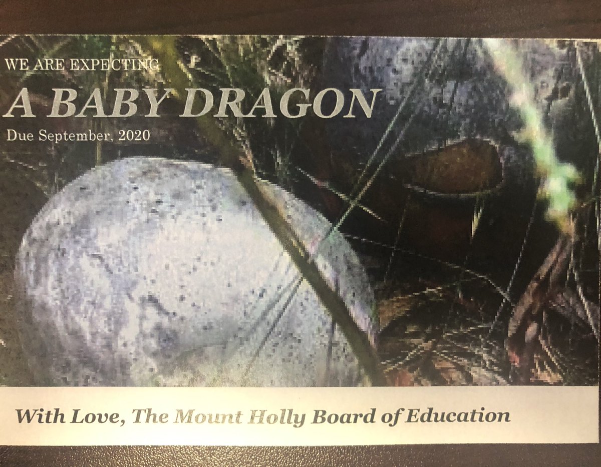 Mount Holly Township School District tweet media