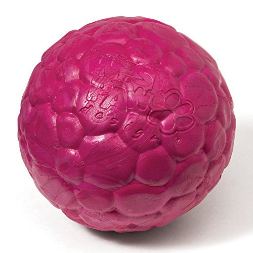 LoveToyDogs's tweet image. West Paw Design, Boz, Small, Currant Pink dlvr.it/R3y9hj #DogFetch #dogfetchlauncher