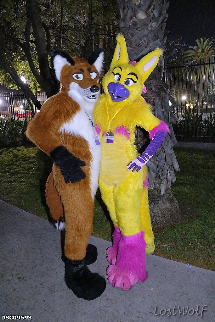 LostWolf321's tweet photo. It's @FollowWhiskey & @SunriseGryphon @califur #CF2016 https://t.co/8KfH1i817p