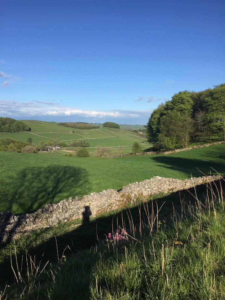 David Grady tweet media